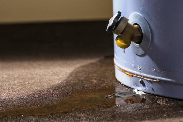 Best 24-hour water damage restoration  in Thornwood, NY