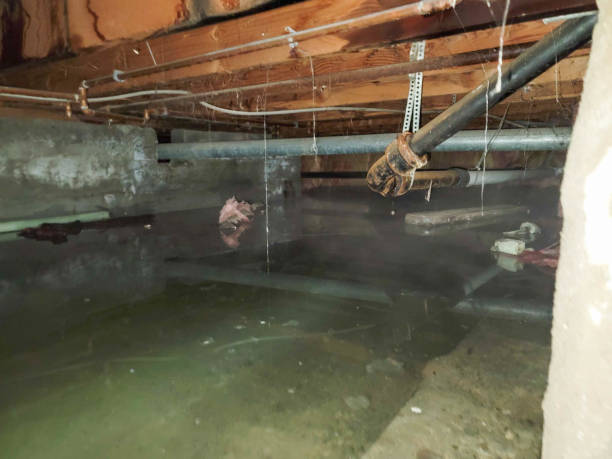 Best Water damage restoration mold remediation  in Thornwood, NY