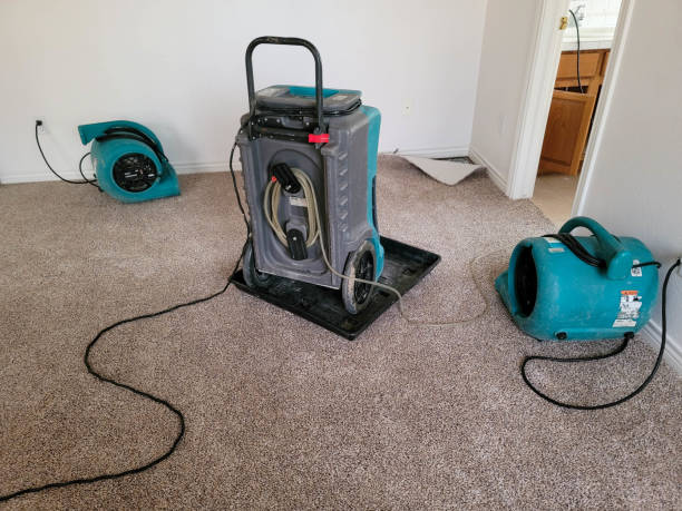 Best Commercial water damage restoration  in Thornwood, NY
