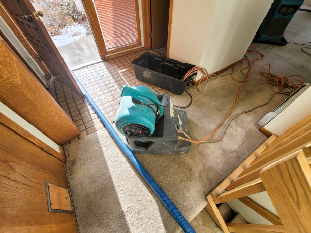 Best Professional water damage repair  in Thornwood, NY