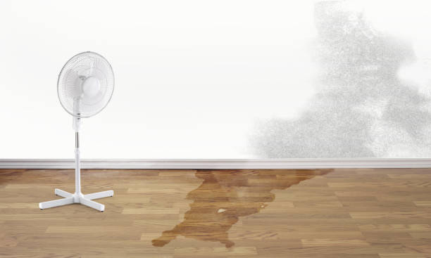 Best Water damage restoration near me  in Thornwood, NY