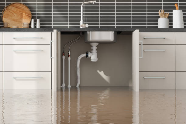 Best Carpet water damage restoration  in Thornwood, NY