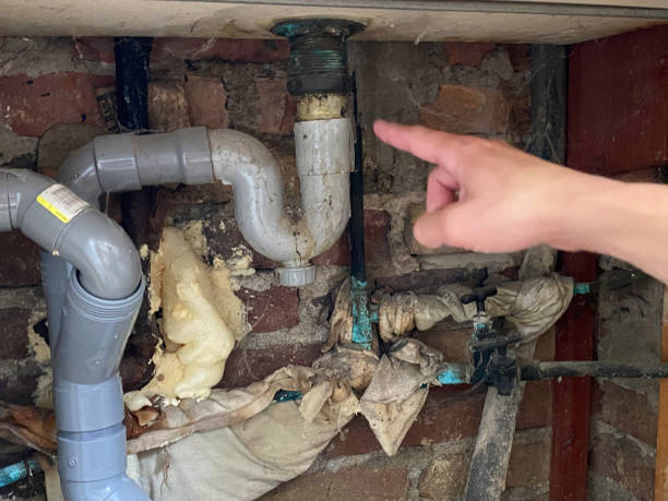 Best Flood damage cleanup  in Thornwood, NY