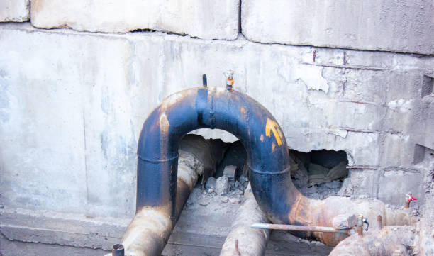 Best Professional water damage repair  in Thornwood, NY