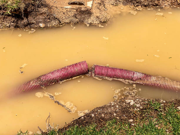 Trusted Thornwood, NY Water damage restoration Experts
