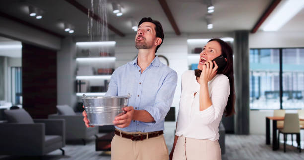 Best Carpet water damage restoration  in Thornwood, NY