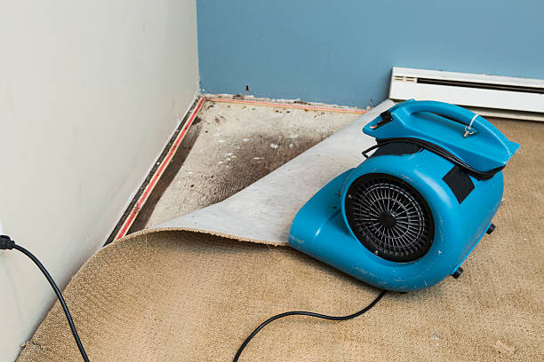 Best Emergency water damage restoration  in Thornwood, NY
